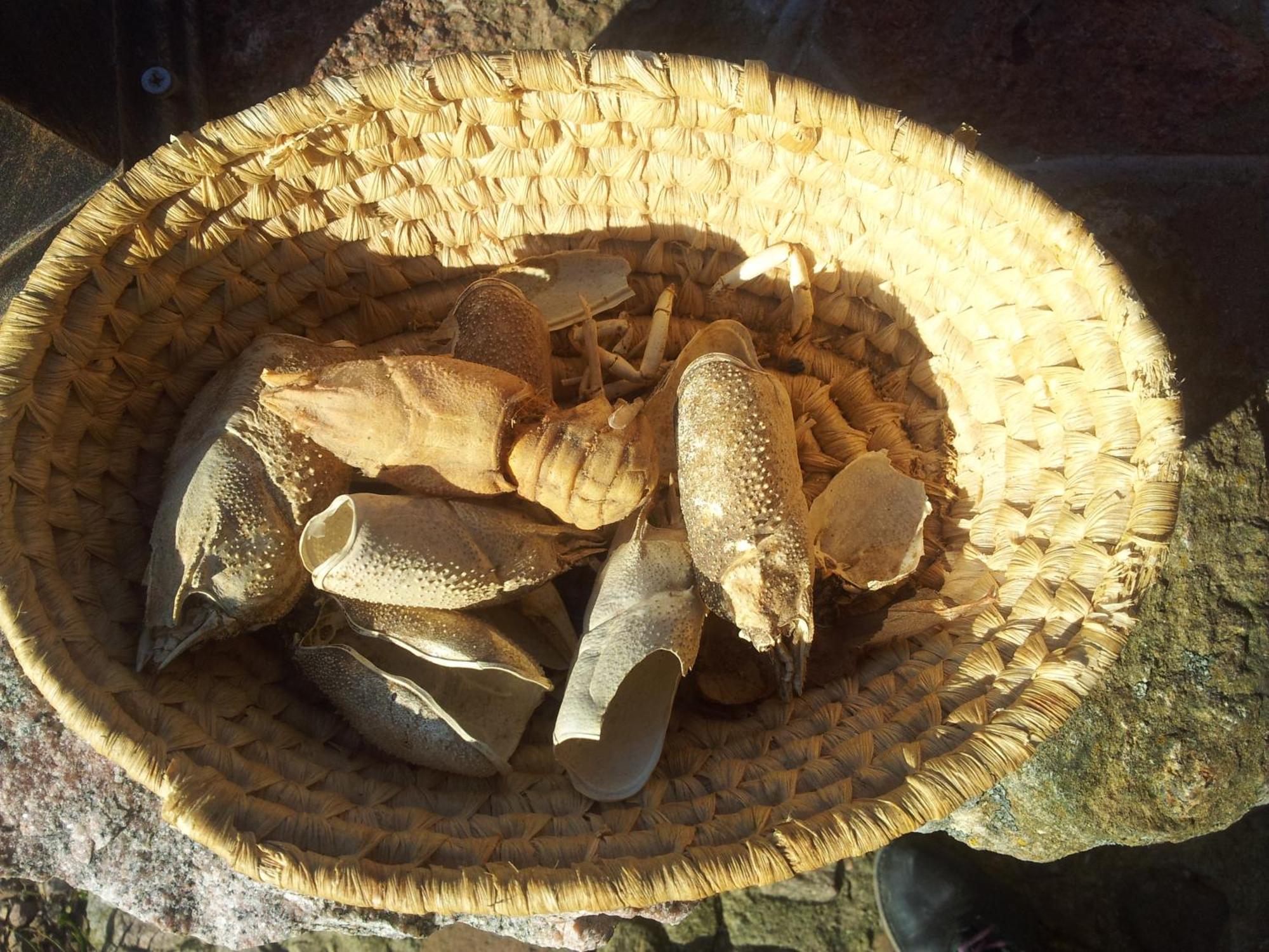 Hosteria Na Mazurach Dąbrówno Exteriér fotografie